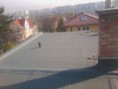 /album/fenykepgaleria/fenykep1496-jpg1/